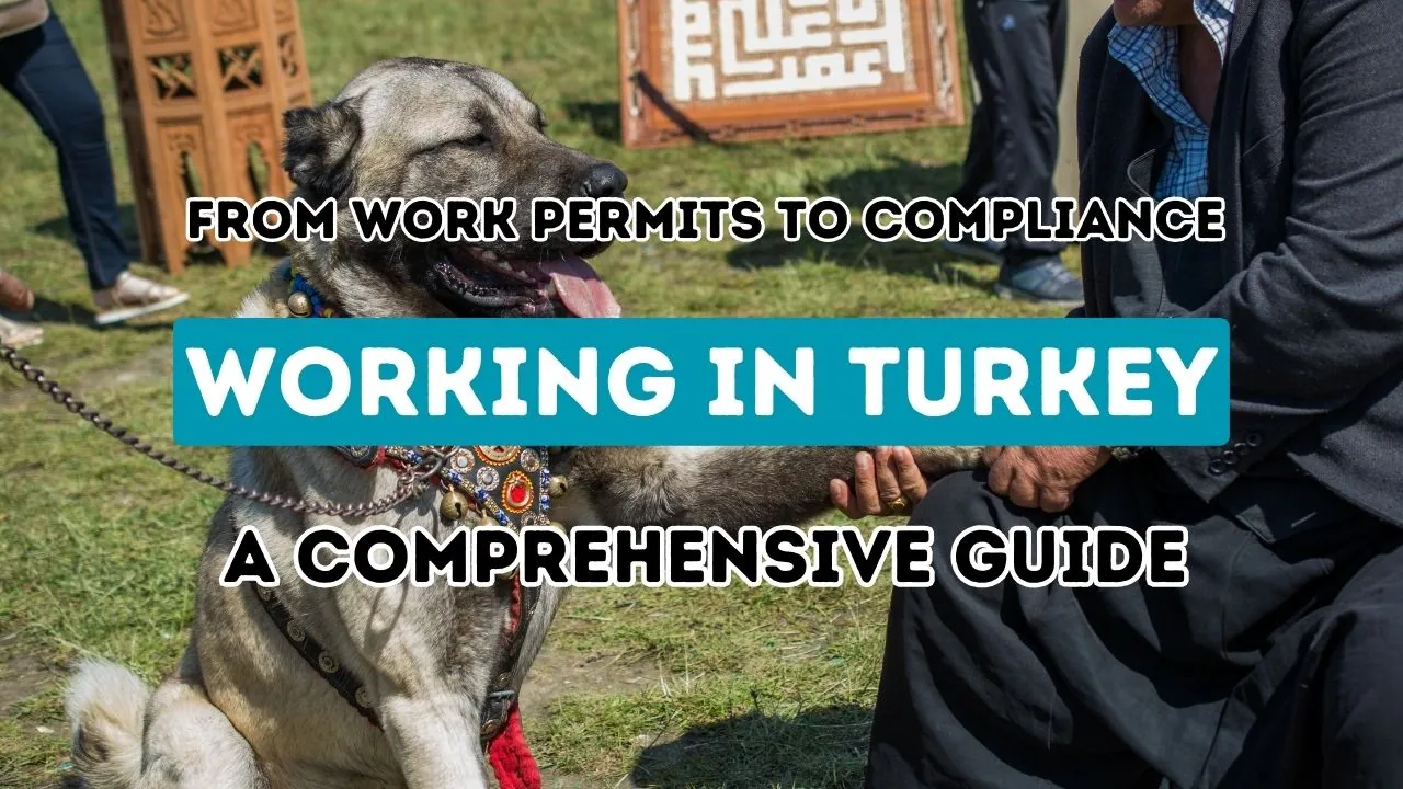 An In-Depth Manual for Employment in Turkey: Navigating Work Authorization to Regulatory Adherence