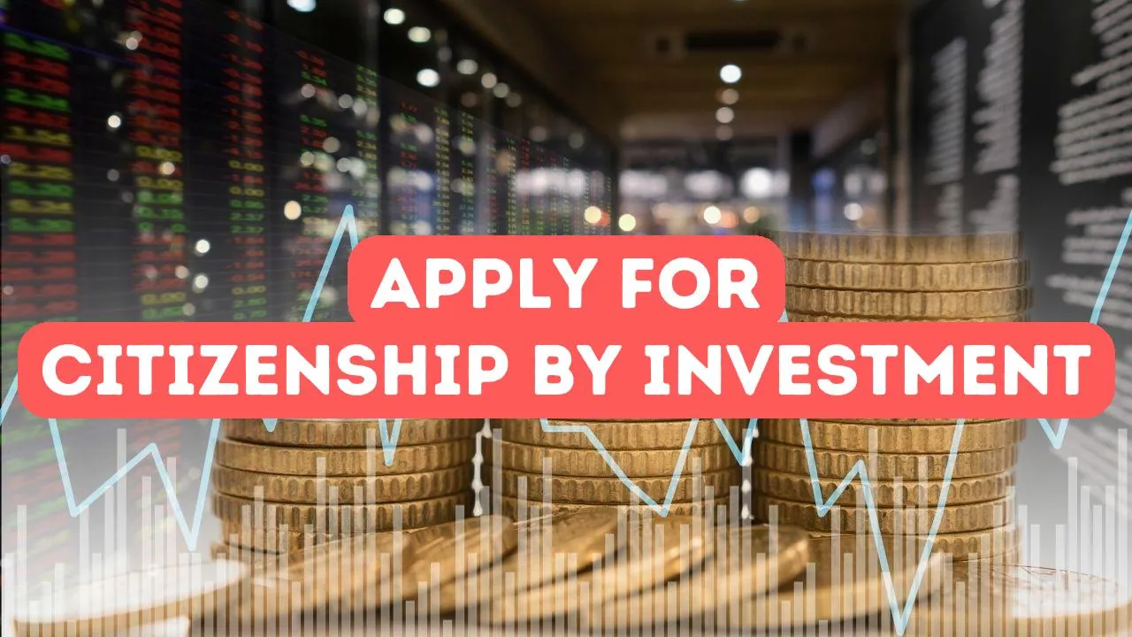 How to Apply for a Turkish Citizenship by Investment