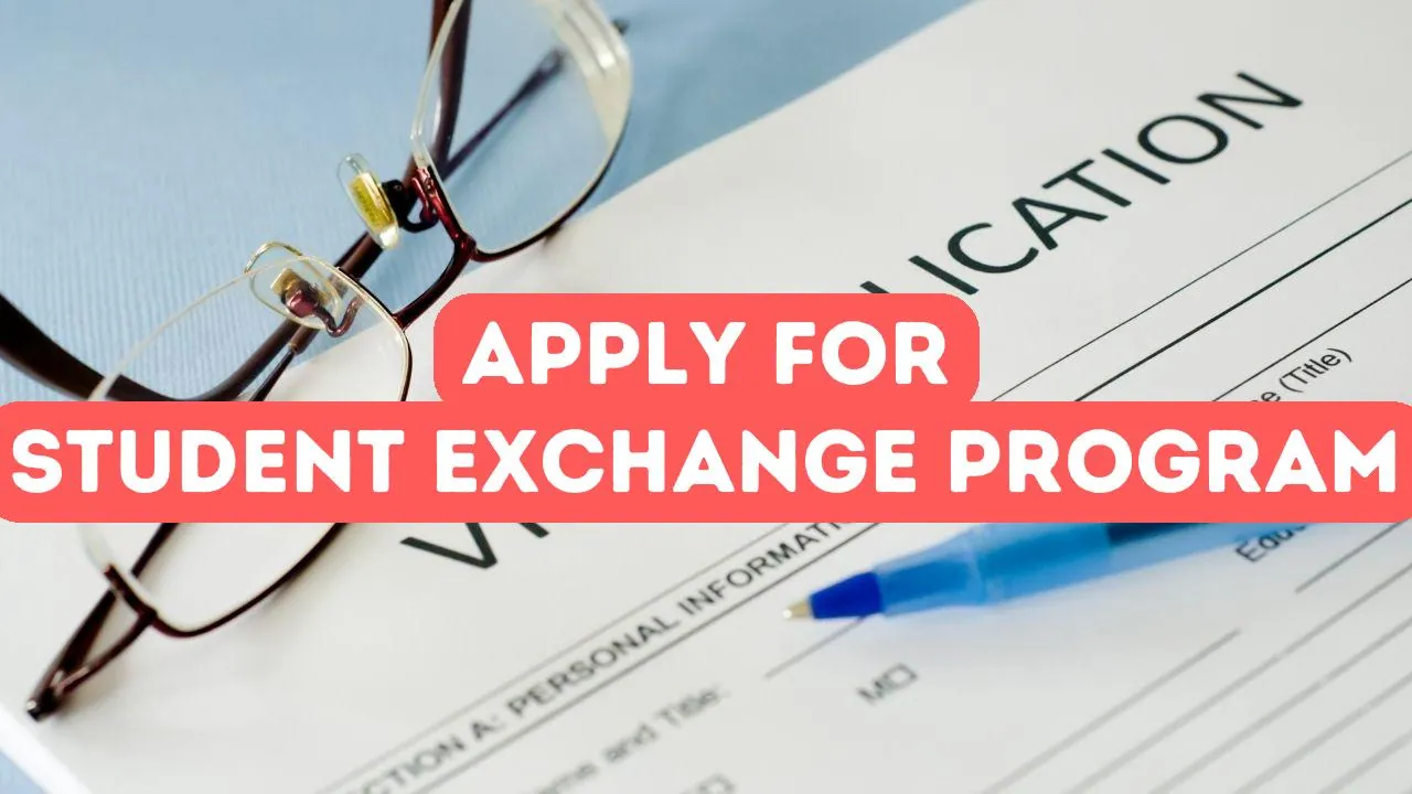 How to Apply for a Turkish Student Exchange Program