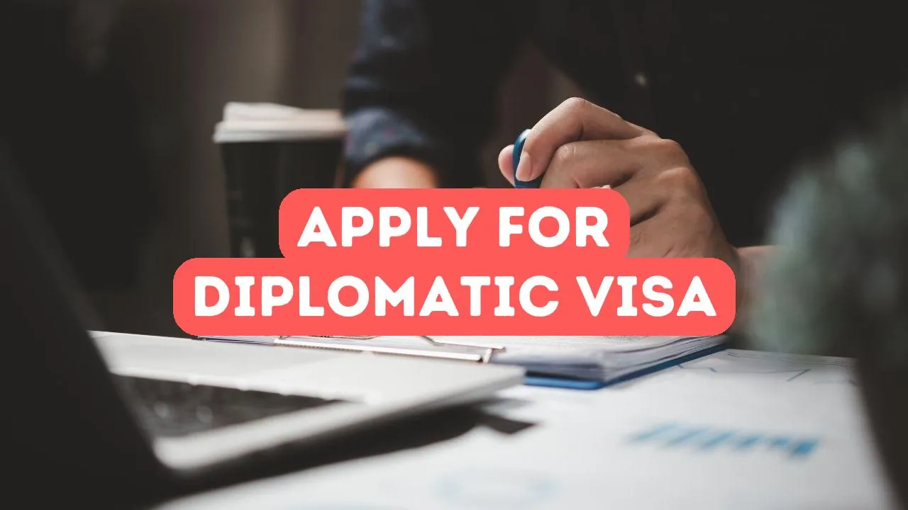 How to Apply for a Turkish Diplomatic Visa