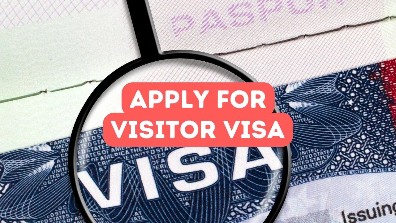 How to Apply for a Turkish Visitor Visa