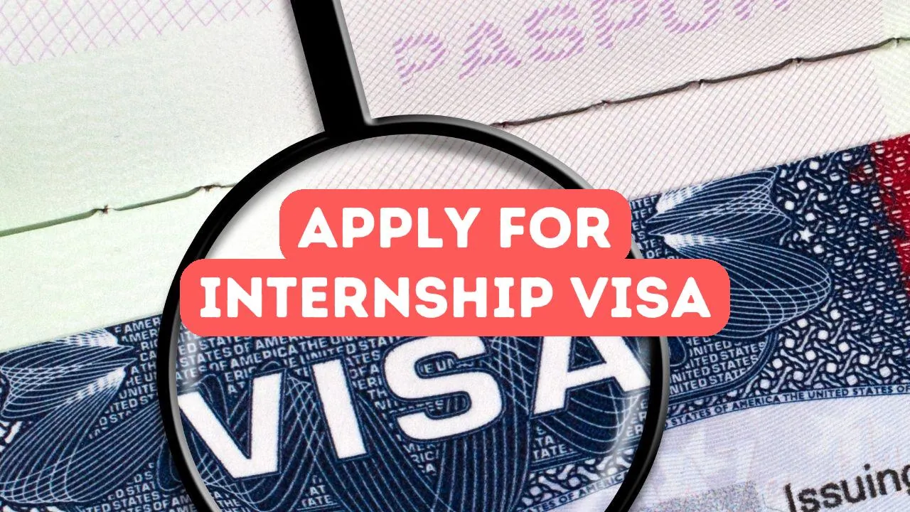How to Apply for a Turkish Internship Visa