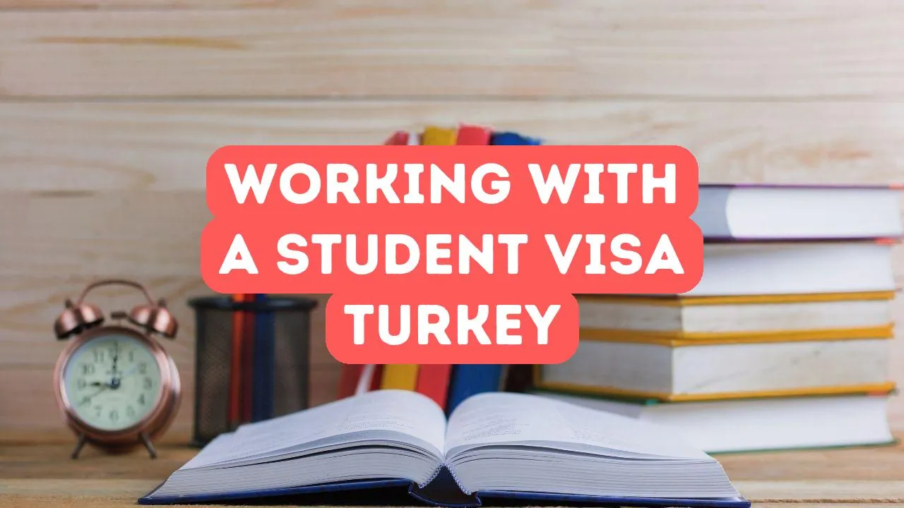 Can You Work with a Student Visa in Turkey?
