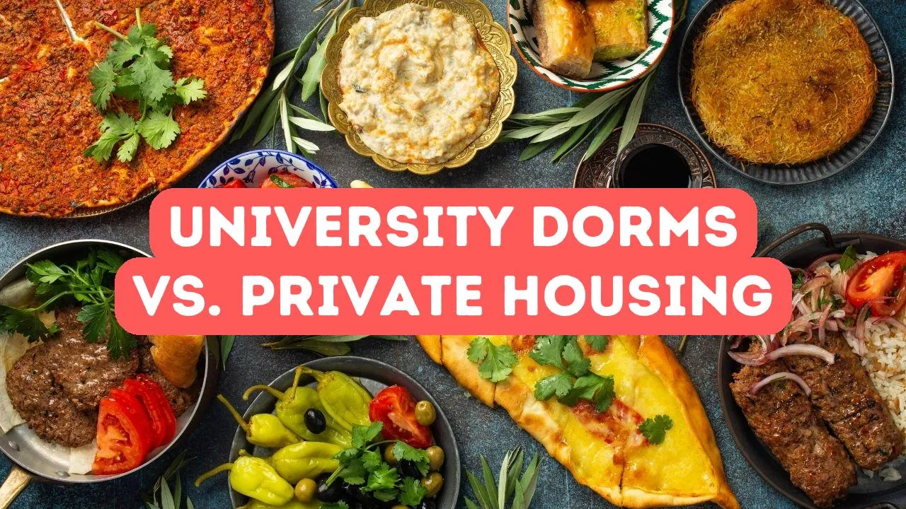 University Dorms vs. Private Housing in Turkey