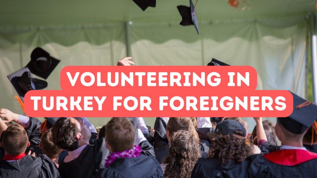 土耳其为外国人提供的志愿服务机会